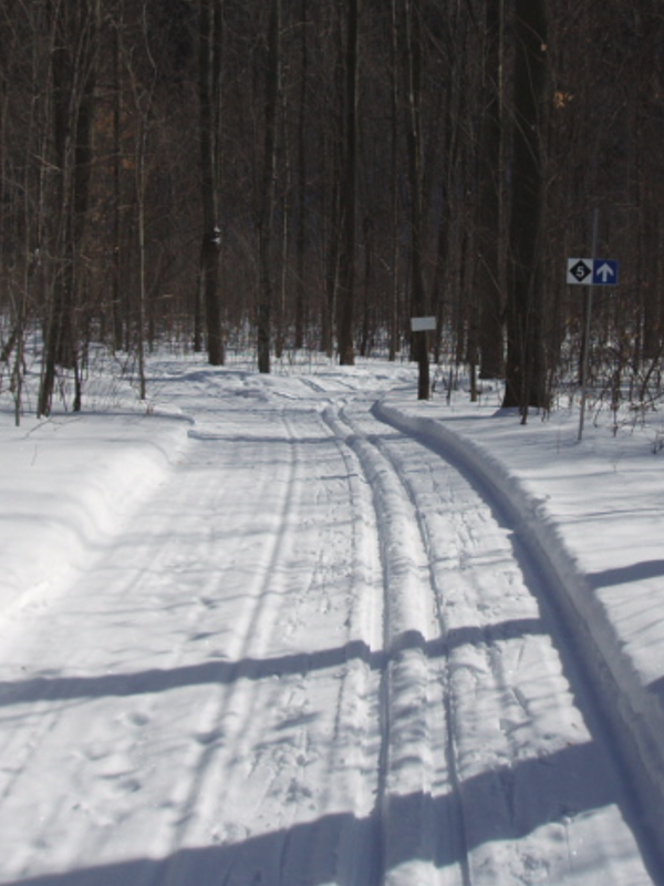 cross country ski trail